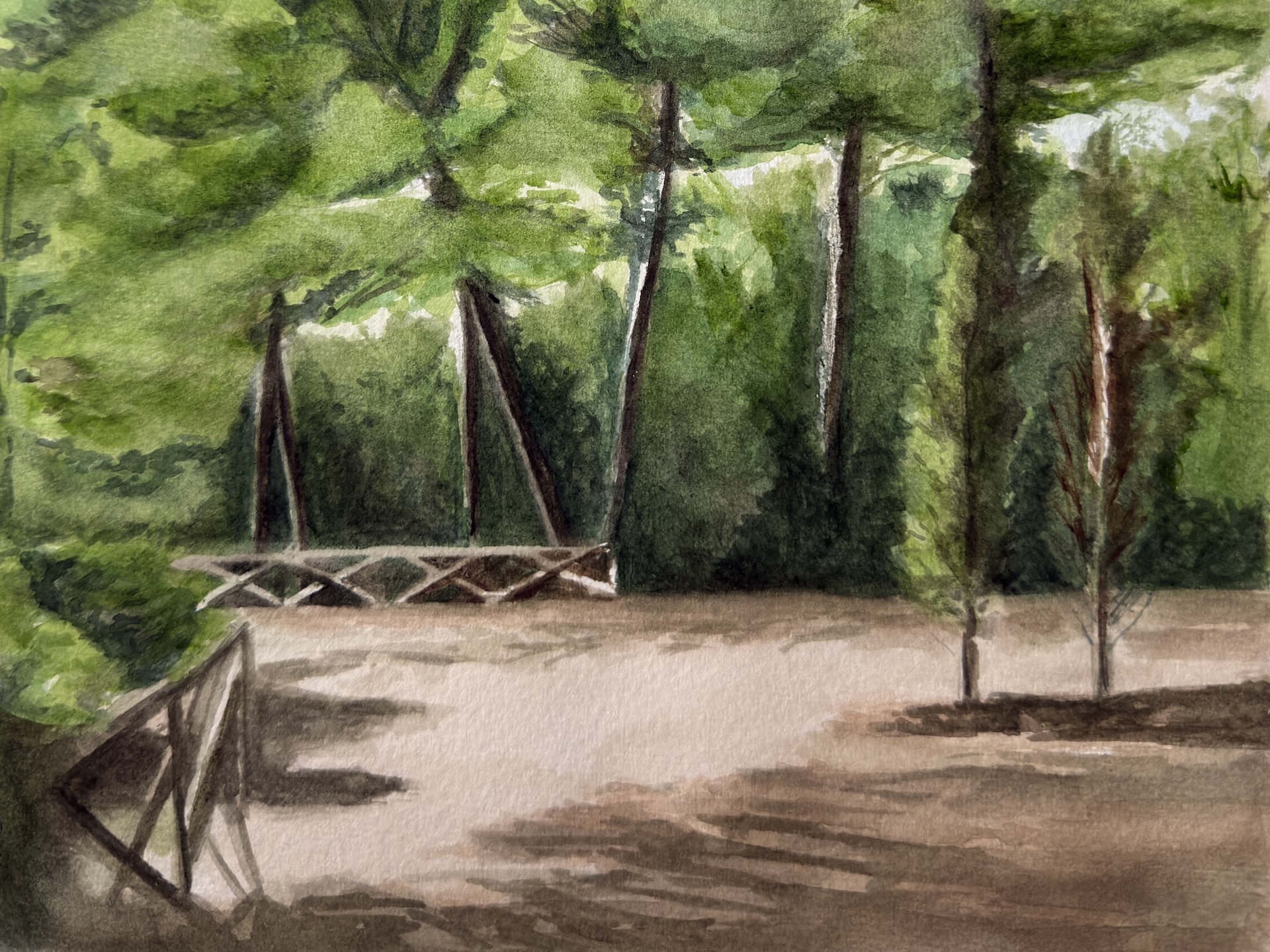 Pineta ad acquerello