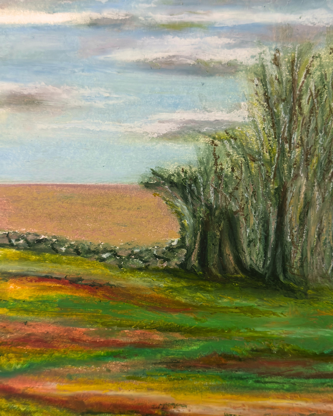 Campagna. Pastelli a olio