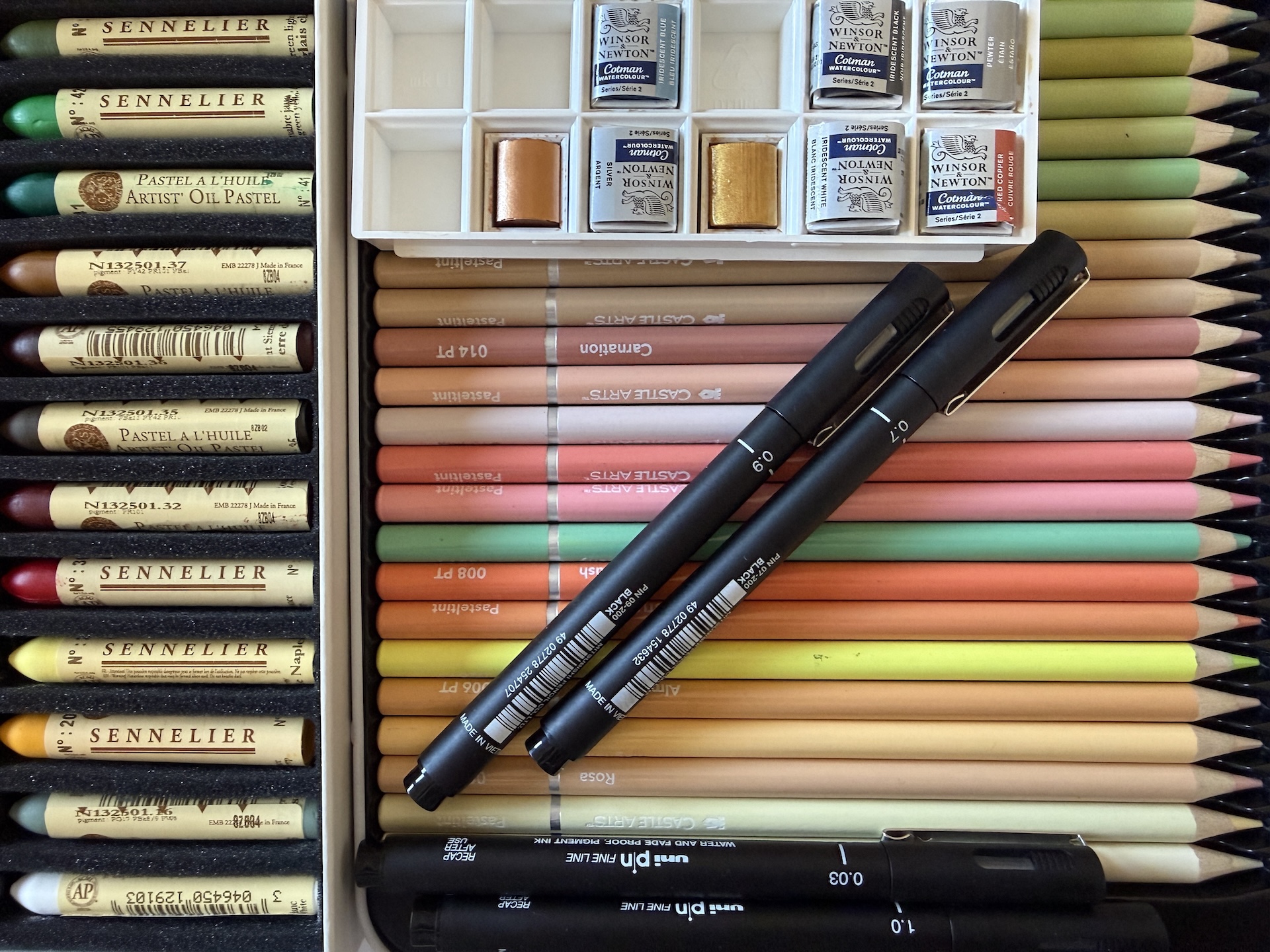 Paselli a olio, matite colorate, penne a china e acquerelli