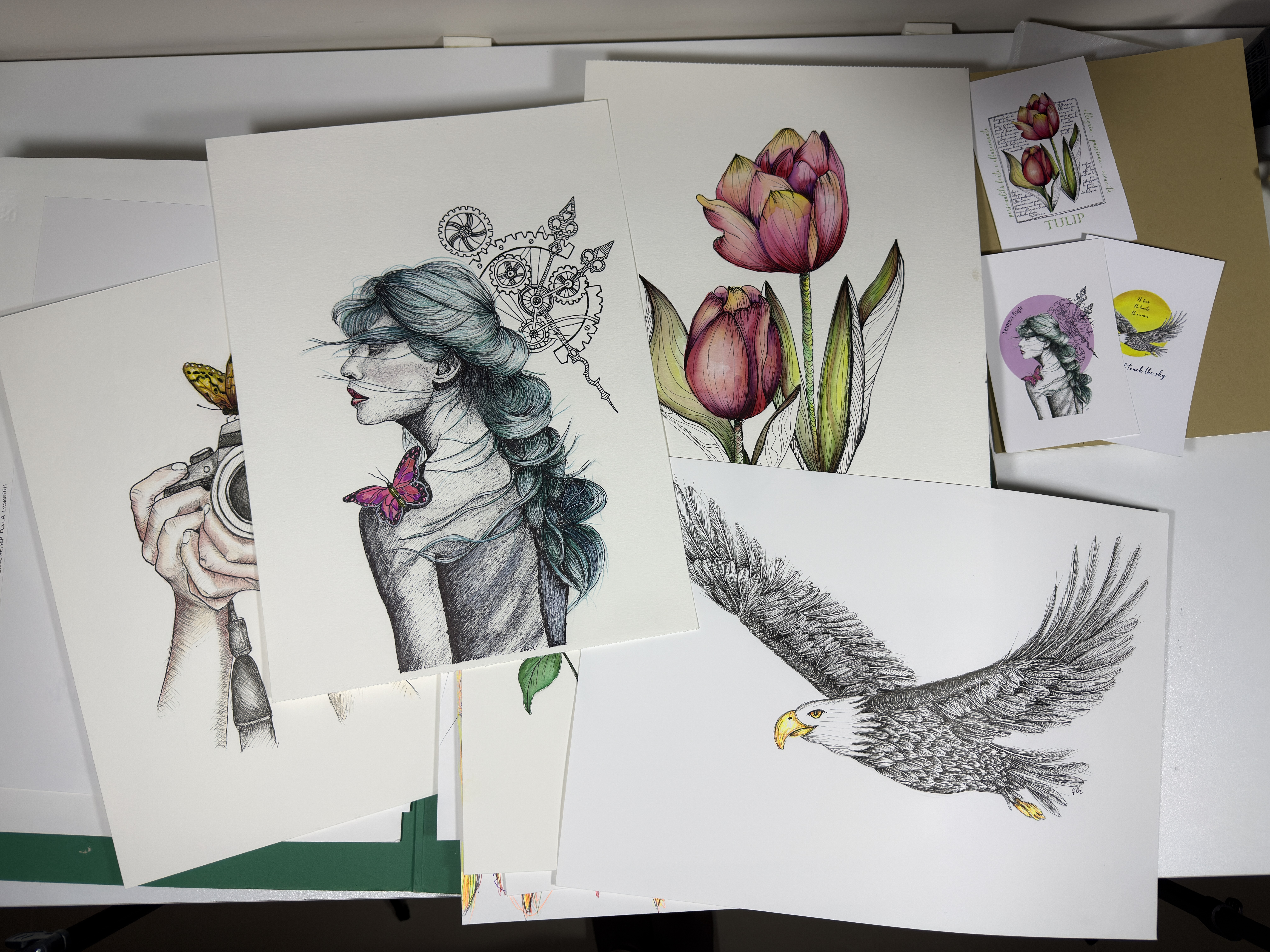 Illustrazioni ad acquerello e matite colorate