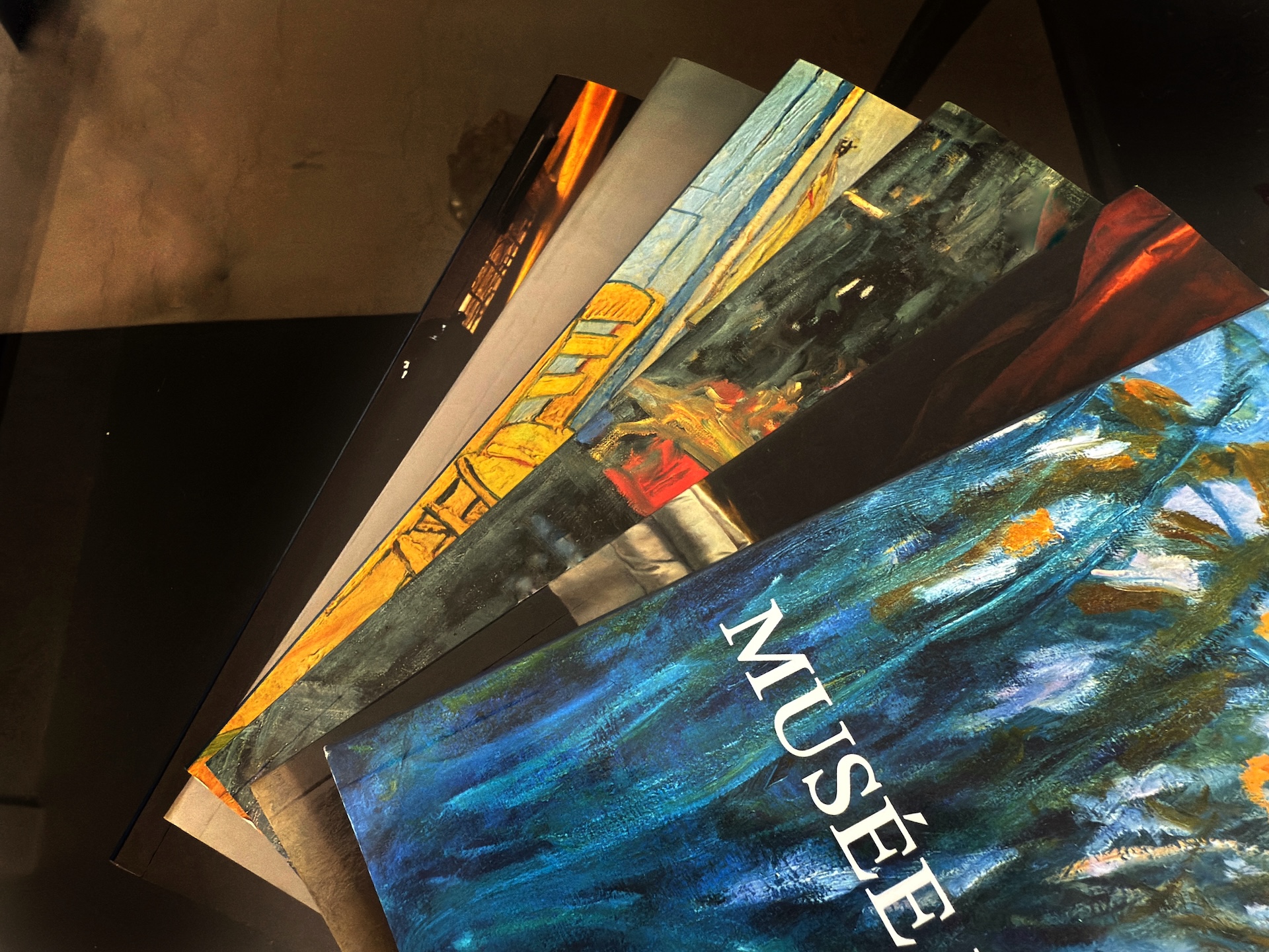 Libri, enciclopedie d'arte