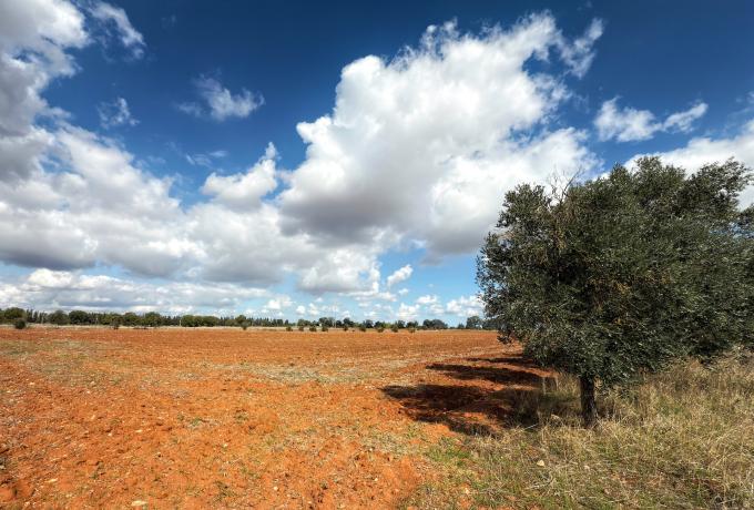 Il paesaggio come fonte d’ispirazione