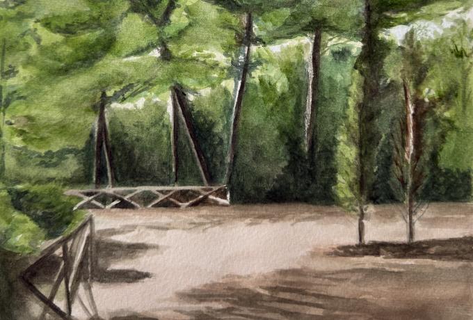 Pineta ad acquerello